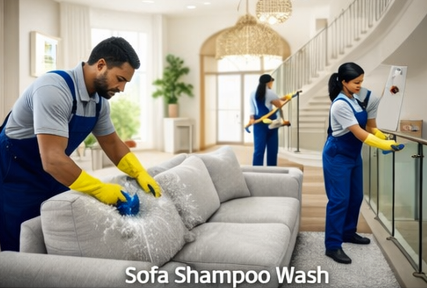 Sofa Shampoo Wash